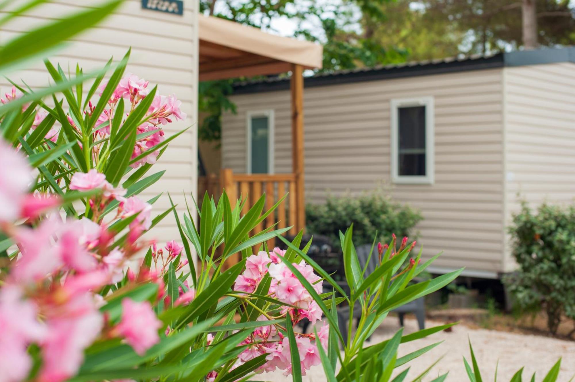 Camping Les Jardins D Agathe Le Grau-d'Agde Exterior photo