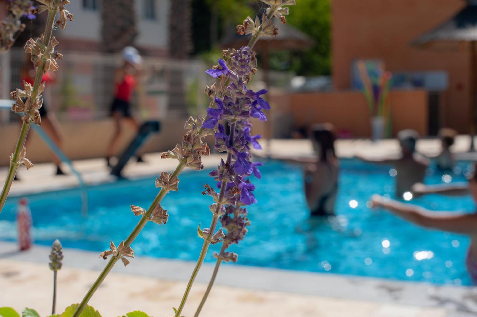 Camping Les Jardins D Agathe Le Grau-d'Agde Exterior photo