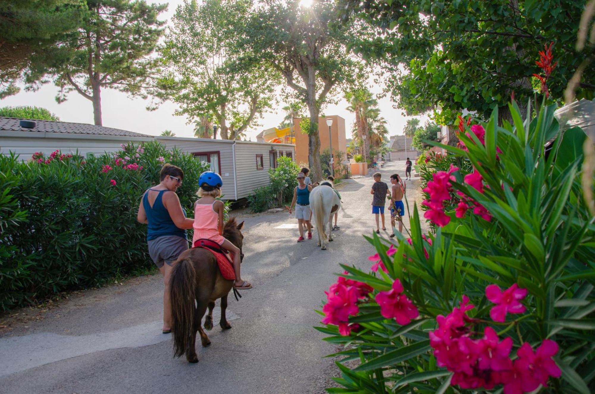 Camping Les Jardins D Agathe Le Grau-d'Agde Exterior photo